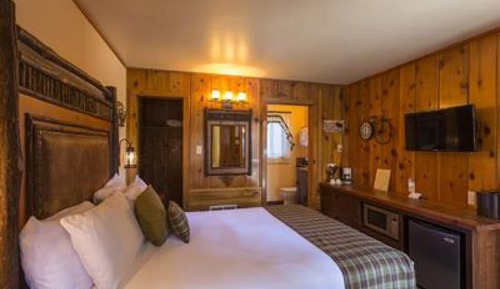 Superior Cabin, Ensuite (Single Studio Cabin)
