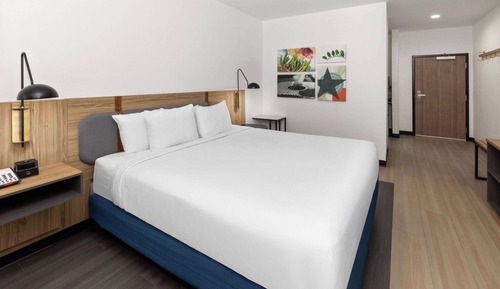 Room, 1 King Bed, Accessible, Non Smoking (Efficiency, Roll-In Shower)