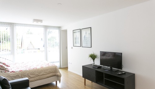 Standard Studio, 1 Queen Bed, Balcony, Mountain View