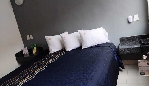 Basic Single Room