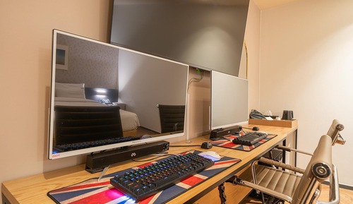 Room (VIP Couple PC (65-inch TV integrated )