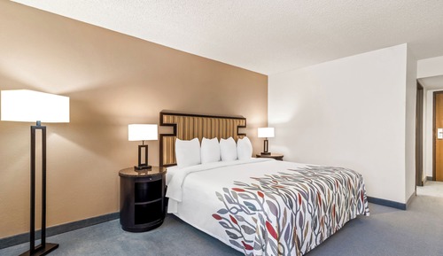 Superior Room, 1 King Bed, Accessible, Non Smoking