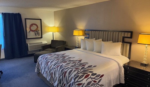Superior Room, 1 King Bed, Non Smoking