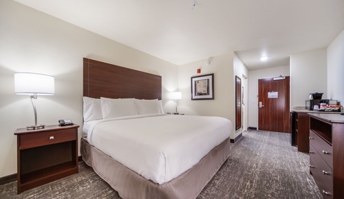 Room, 1 King Bed, Non Smoking (Audible/Visual Alert)