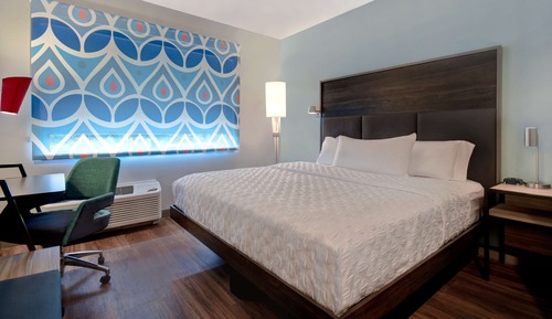 Room, 1 King Bed