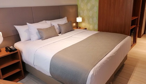 Room, 1 King Bed, Non Smoking