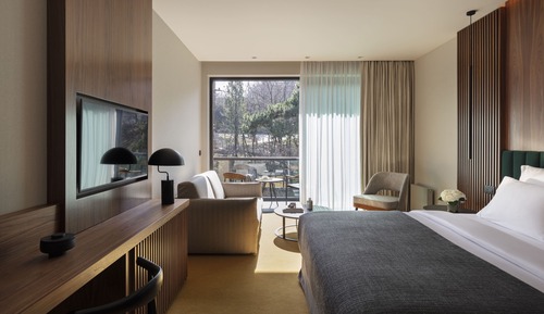 Deluxe Double Room, Mountain View