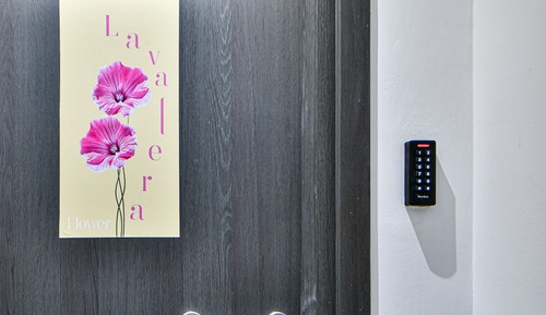 Deluxe Apartment (Lavatera)