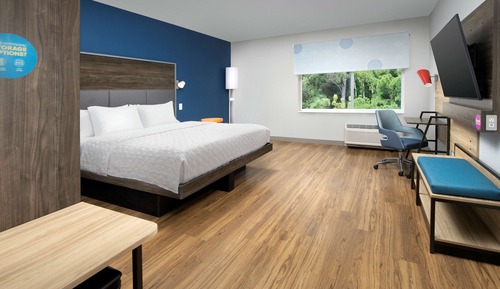 Room, 1 King Bed, Accessible (Roll-In Shower)