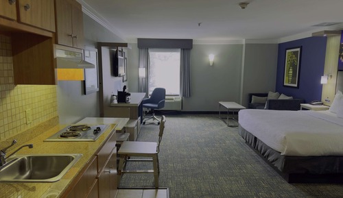 Standard Room, 1 King Bed, Non Smoking, Kitchen (with Sofabed)
