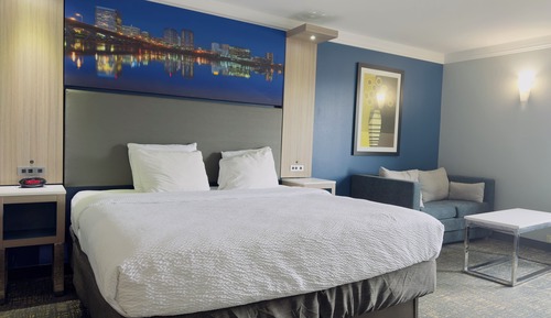 Standard Room, 1 King Bed, Non Smoking, Refrigerator & Microwave (with Sofabed)