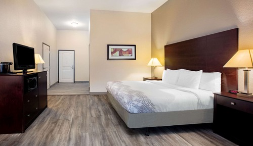 Room, 1 King Bed, Accessible, Non Smoking (Bathtub)