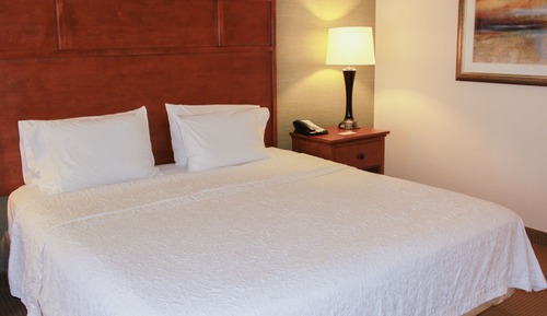 Room, 1 King Bed, Accessible, Non Smoking