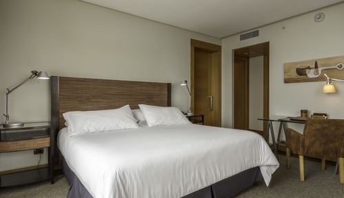 Presidential Room, 1 King Bed, Non Smoking