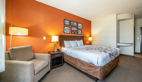 Standard Room, 1 King Bed, Non Smoking