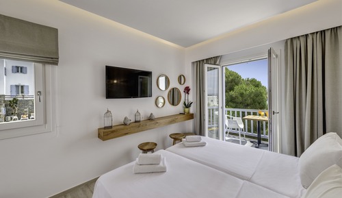 Deluxe Double or Twin Room