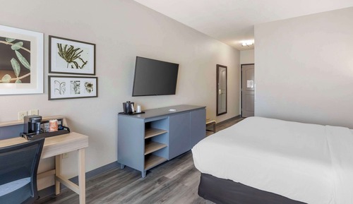 Room, 1 King Bed, Accessible, Non Smoking (Roll-in Shower)