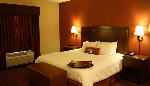 Room, 1 King Bed