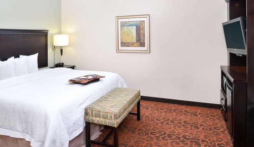 Room, 1 King Bed, Non Smoking