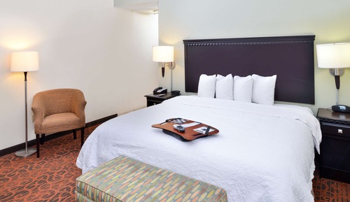 Room, 1 King Bed with Sofa bed