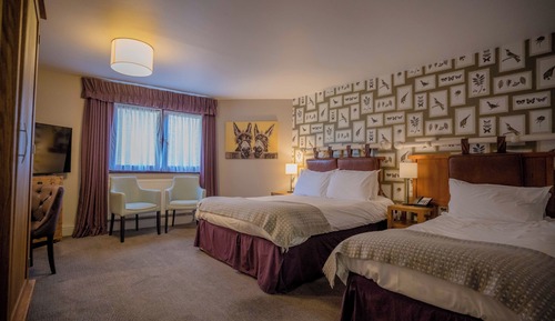 Family Double Room, Garden View
