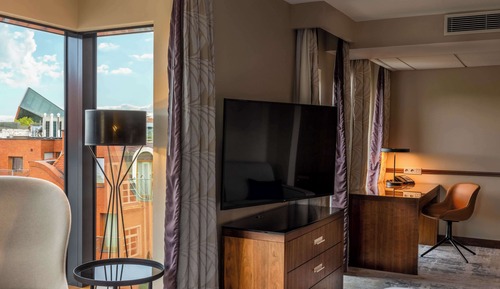 Superior Room, 1 King Bed (Park/City View)