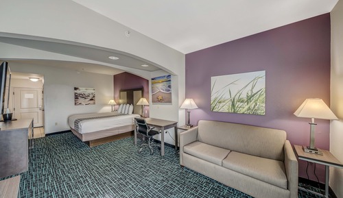 Deluxe Room, 1 King Bed, Non Smoking (Deluxe Executive Room)
