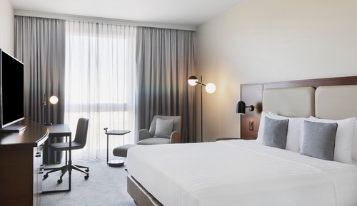 Room, 1 King Bed
