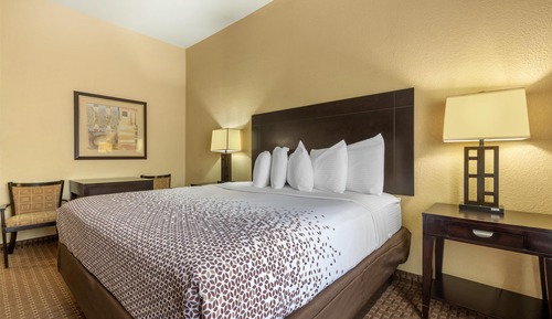 Standard Room, 1 King Bed, Non Smoking, Refrigerator & Microwave
