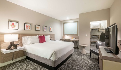 Room, 1 King Bed