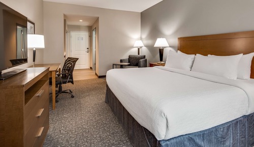 Standard Room, 1 King Bed, Non Smoking, Refrigerator & Microwave