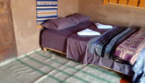 Standard Tent