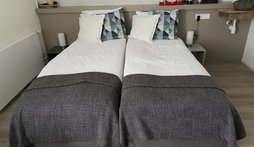 Deluxe Double or Twin Room, Shared Bathroom (Kwintelooijen)