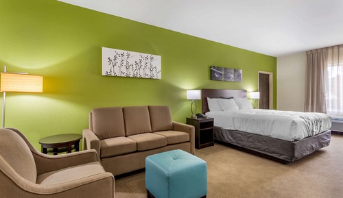 Suite, 1 King Bed with Sofa bed, Accessible, Non Smoking