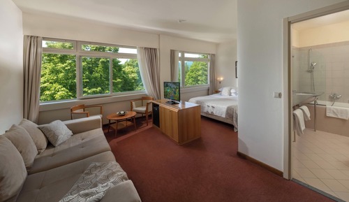 Junior Suite With Extra Bed, Lake Side