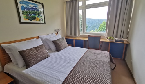 Standard Double Room, Lake Side