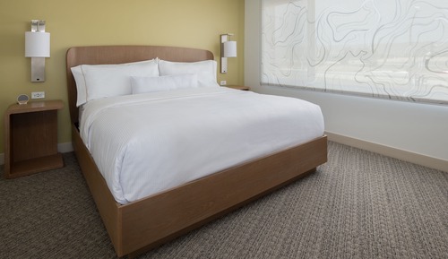 Suite, 1 Bedroom