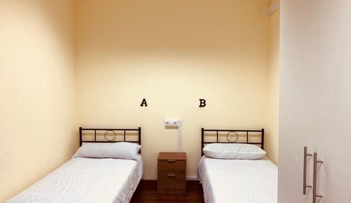 Basic Twin Room