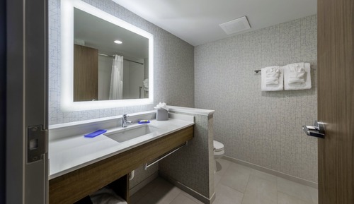 Standard Room, 1 King Bed, Accessible (Communication Access, Extra Fl Space)