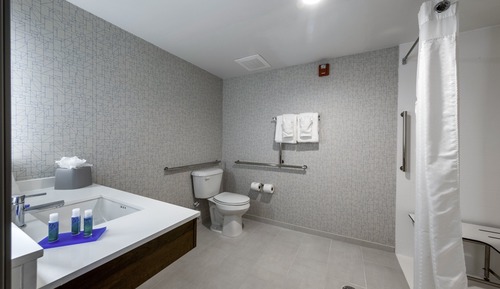 Suite, 1 King Bed, Accessible (Communication, Roll-In Shower)