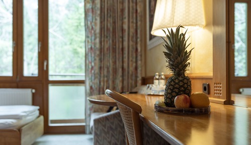Comfort Double or Twin Room, Mountain View