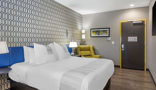 Standard Room, 1 King Bed, Non Smoking, Refrigerator & Microwave