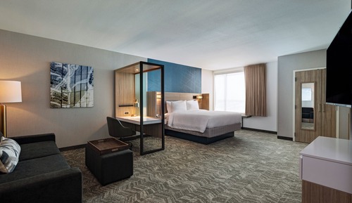 Suite, 1 King Bed with Sofa bed, Non Smoking (Mobility Accessible, Tub)