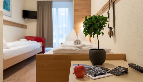 Standard Twin Room (Zweibettzimmer Bergblick)