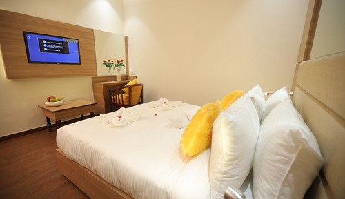 Deluxe Double or Twin Room