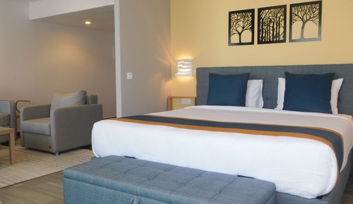 Premium Suite