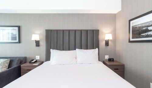Standard Room, 1 King Bed with Sofa bed