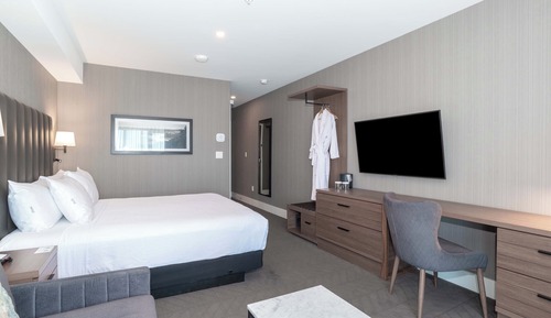 Standard Room, 1 King Bed with Sofa bed (Euro Style Shower)