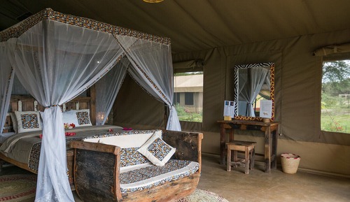 Comfort Tent, Garden View