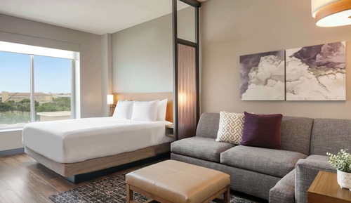 Room, 1 King Bed with Sofa bed, Accessible, Bathtub